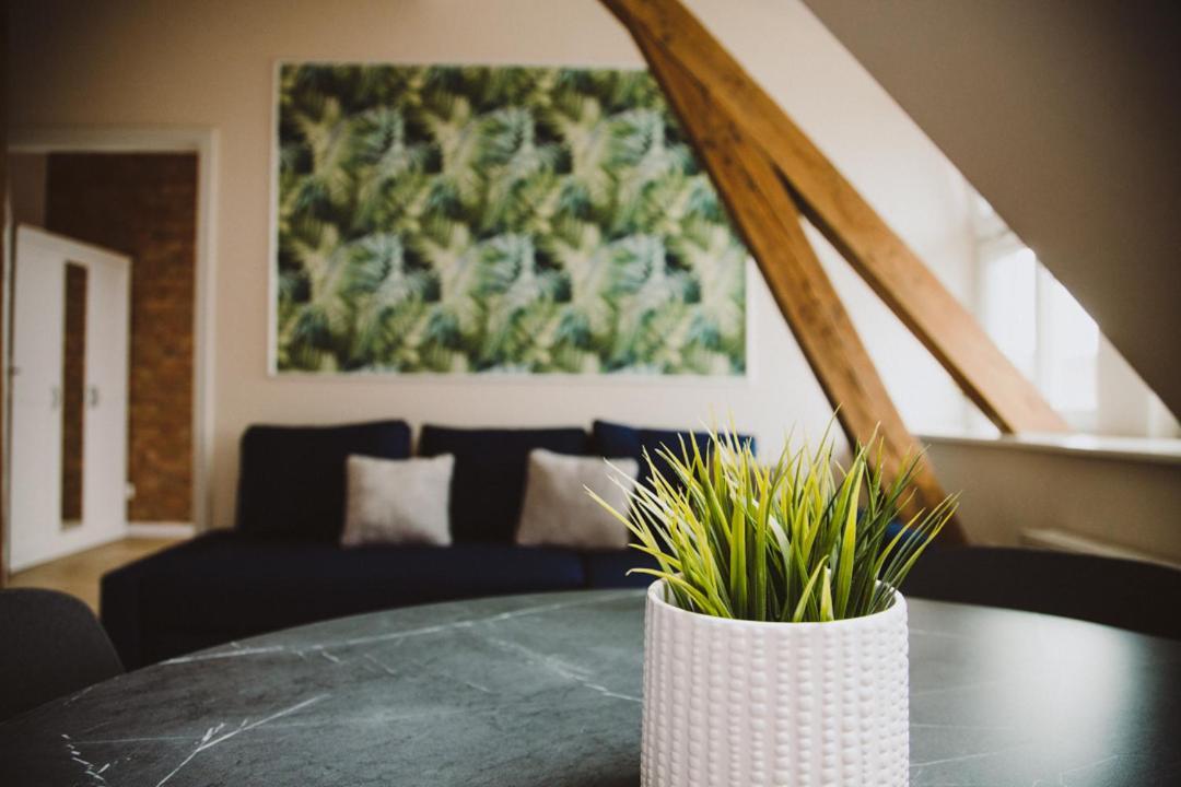 Apartamenty Leszno Leszno  Esterno foto